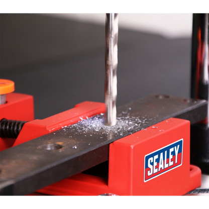 Drill Stand with Cast Iron Base 500mm & Vice 65mm