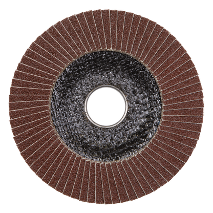 100mm Aluminium Oxide Flap Disc 40Grit 16mm Bore