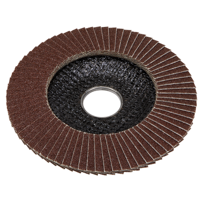 100mm Aluminium Oxide Flap Disc 40Grit 16mm Bore