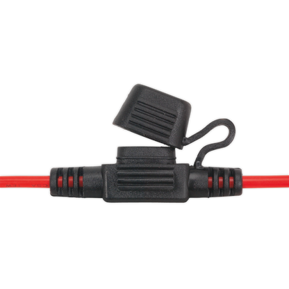 Clip Strip Deal - Automotive Mini Blade Fuses & Holders