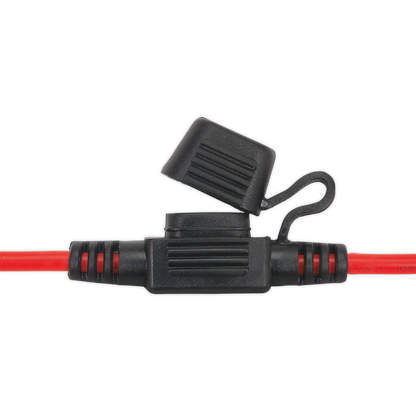 Clip Strip Deal - Automotive Mini Blade Fuses & Holders