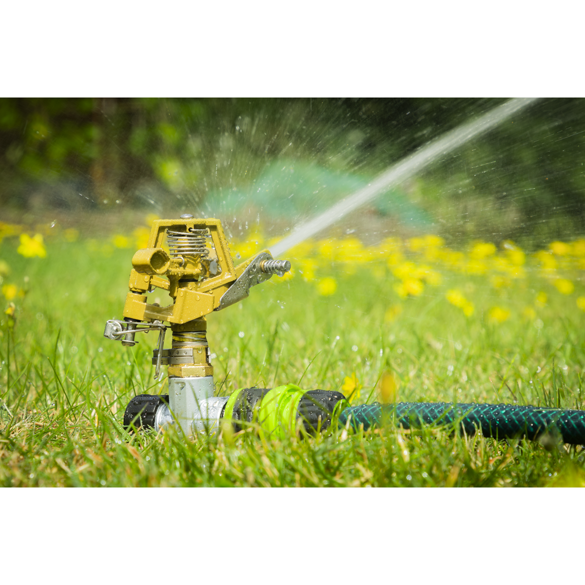 Pulsating Water Sprinkler on Metal Spike