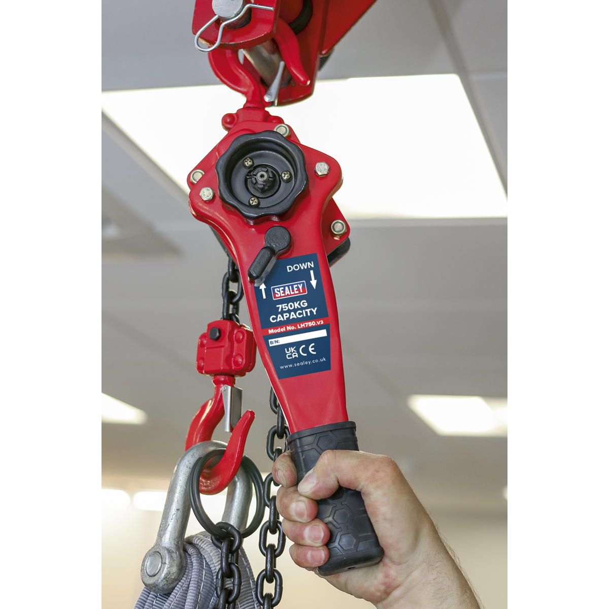 Steel Lever Hoist 750kg