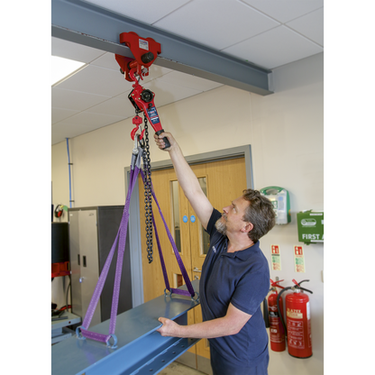Steel Lever Hoist 750kg
