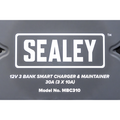 3 Bank 12V Smart Charger & Maintainer 30A (3 x 10A)