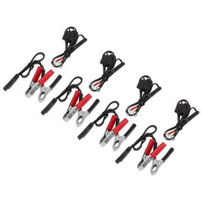 6/12V 4 Bank Auto Maintenance Charger 8A (4 x 2A)