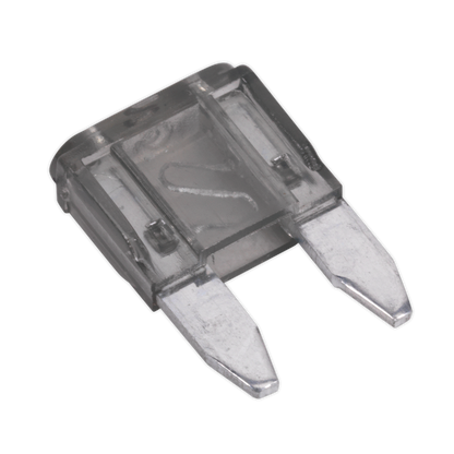 Clip Strip Deal - Automotive Mini Blade Fuses & Holders