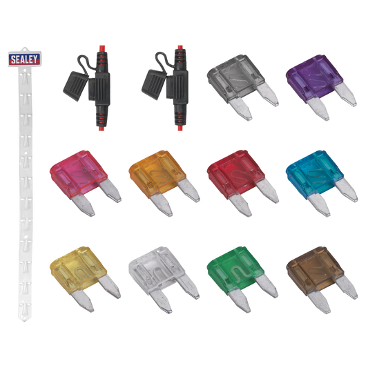 Clip Strip Deal - Automotive Mini Blade Fuses & Holders