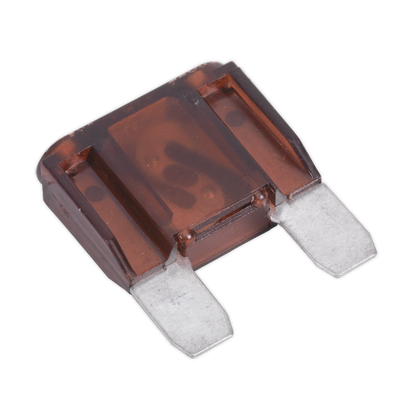 Automotive MAXI Blade Fuse - Pack of 10