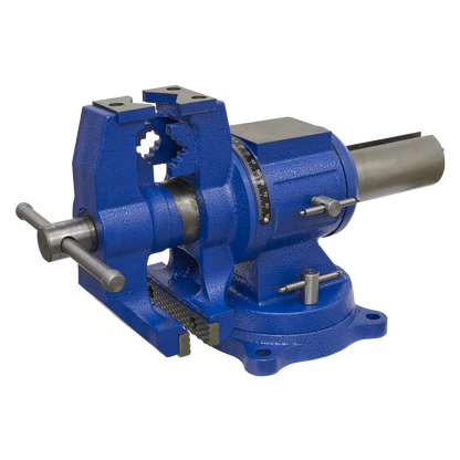 Multifunction Cast Iron Vice with Swivel Base 150mm