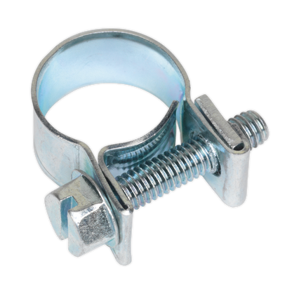 Mini Hose Clip