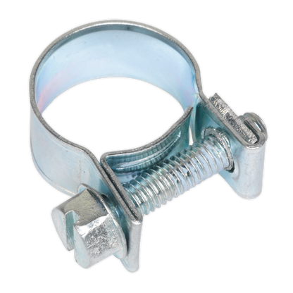 Mini Hose Clip
