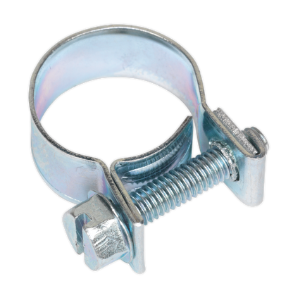 Mini Hose Clip