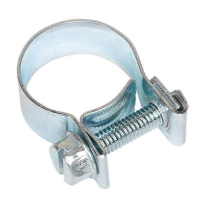 Mini Hose Clip