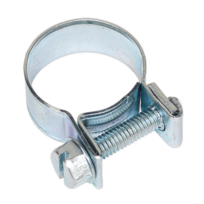 Mini Hose Clip