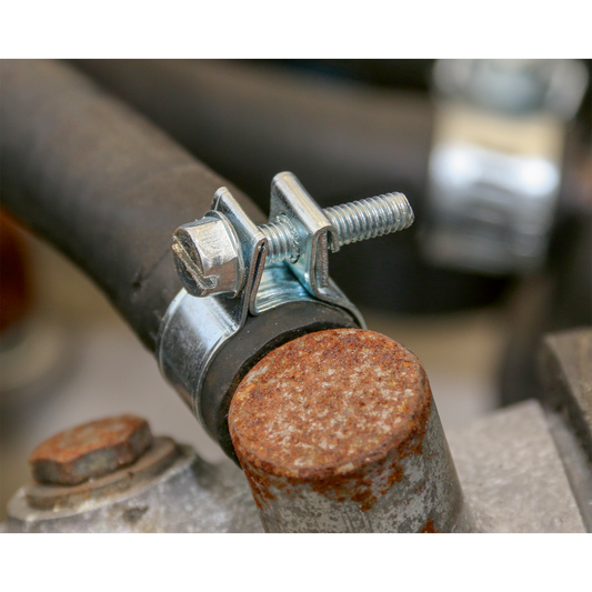 Mini Hose Clip
