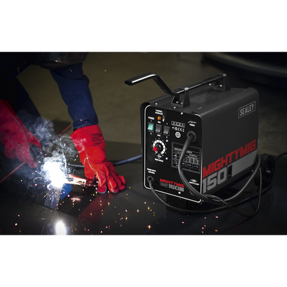 Professional Gas/Gasless MIG Welder