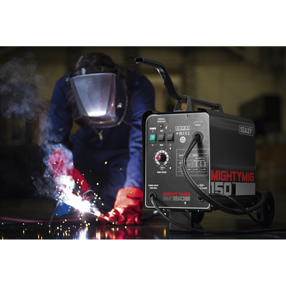 Professional Gas/Gasless MIG Welder
