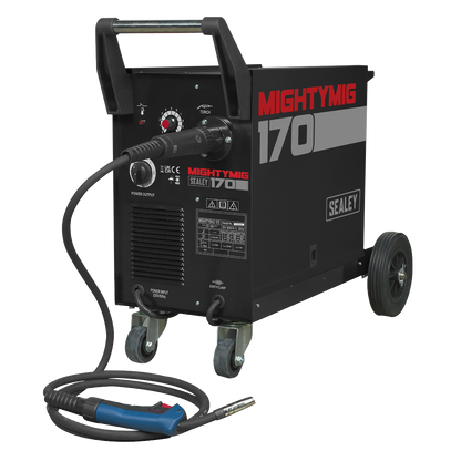 Professional Gas/Gasless MIG Welder