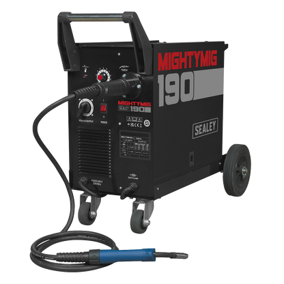 Professional Gas/Gasless MIG Welder