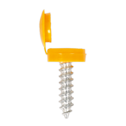 Clip Strip Deal - Mixed Numberplate Screws