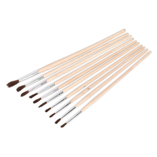 Touch-Up Paint Brush Assortment with Wooden Handle 10pc
