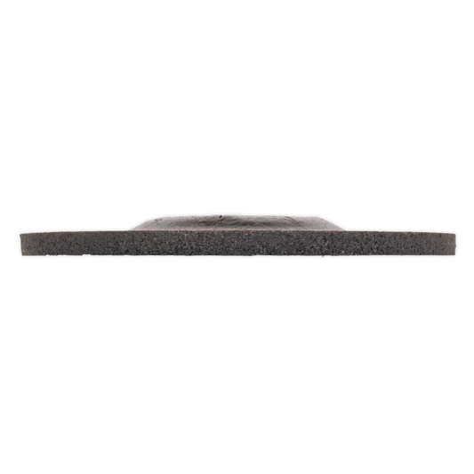 Grinding Disc 22mm Bore
