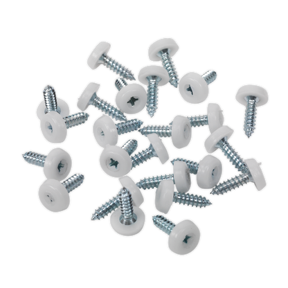 Numberplate Screw with Plastic Enclosed Head