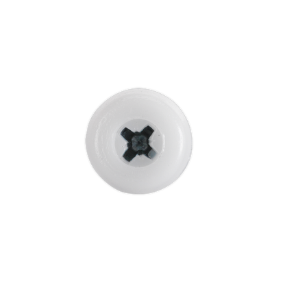 Numberplate Screw with Plastic Enclosed Head