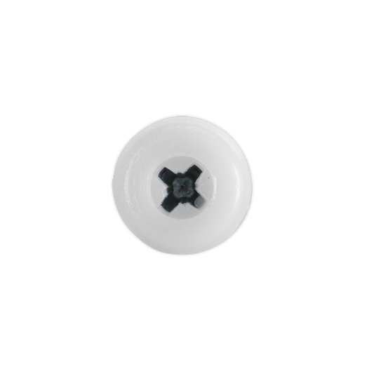 Numberplate Screw with Plastic Enclosed Head