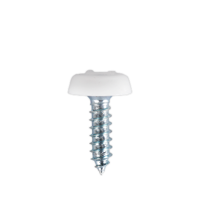 Numberplate Screw with Plastic Enclosed Head