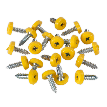 Numberplate Screw with Plastic Enclosed Head