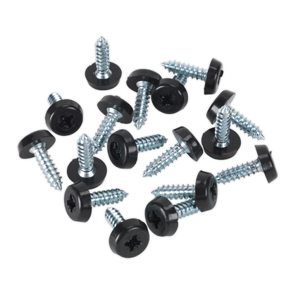 Numberplate Screw with Plastic Enclosed Head