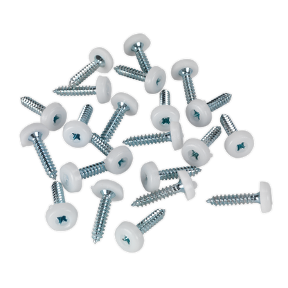 Numberplate Screw with Plastic Enclosed Head