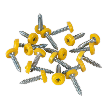 Numberplate Screw with Plastic Enclosed Head