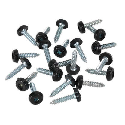 Numberplate Screw with Plastic Enclosed Head
