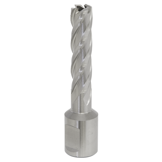 Worksafe® HSS Mag Drill Bit