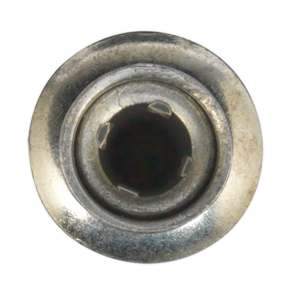 Zinc Plated Steel Structural Rivet 6.3 x 32mm - Pack of 100