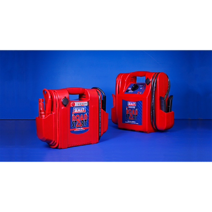 RoadStart® 12V Emergency Jump Starter 1000 Peak Amps