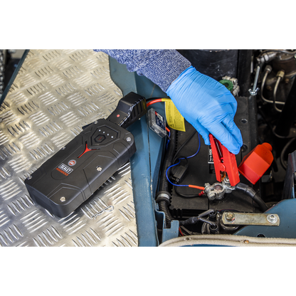 RoadStart® 12V Lithium-ion Jump Starter Power Pack 1200A