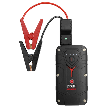 RoadStart® 12V Lithium-ion Jump Starter Power Pack 1200A