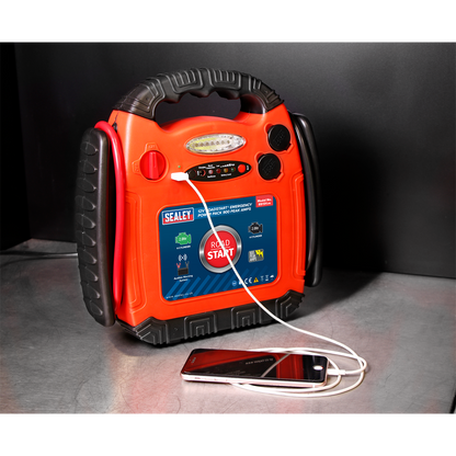 RoadStart® 12V Emergency Jump Starter 900 Peak Amps