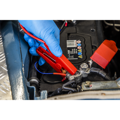 RoadStart® 12V Lithium-ion Jump Starter Power Pack