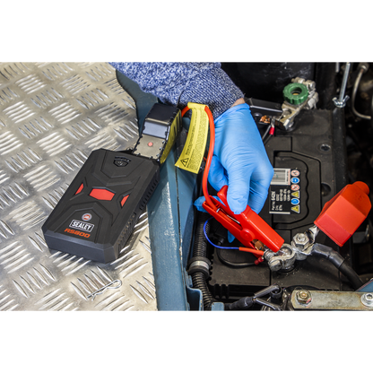RoadStart® 12V Lithium-ion Jump Starter Power Pack