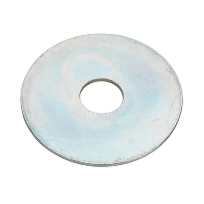 Zinc Plated Repair Washer