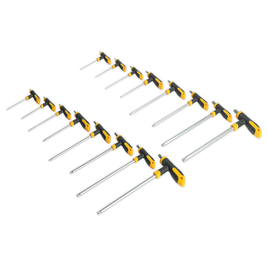 Siegen T-Handle TRX-Star* & Hex Key Set 16pc