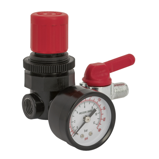 Air Regulator 1/4"BSP Female to 1/4"BSP Male