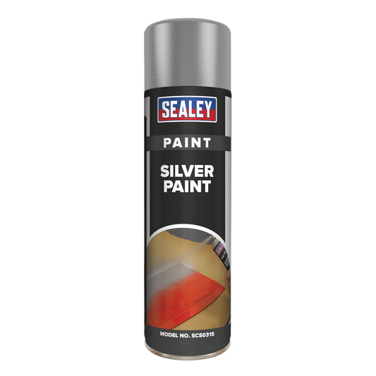 Paint 500ml - Silver