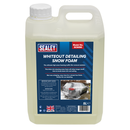 Pressure Washer with Snow Foam 170bar 450L/hr