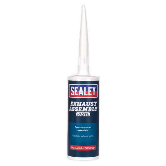 Exhaust Assembly Paste 300g